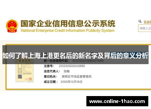 如何了解上海上港更名后的新名字及背后的意义分析